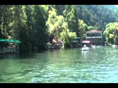 Видео: Велинград песен на Мичона