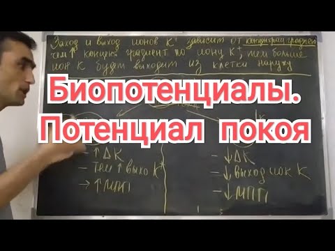 Видео: Физиология. 4 тема. Биопотенциалы. МПП (мембрана потенциал покоя).