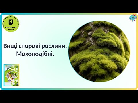 Видео: Вищі спорові рослини  Мохоподібні