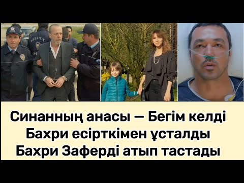 Видео: Пойраздың экс жұбайы келді. 
