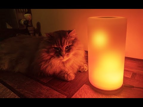 Видео: Лампа Гайвера