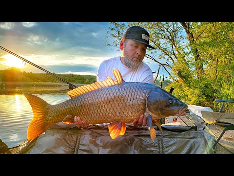 Видео: БРОСИЛ ВСЁ и рванул с МУЖИКАМИ НА РЫБАЛКУ | Рыбалка на карпа с ночевкой