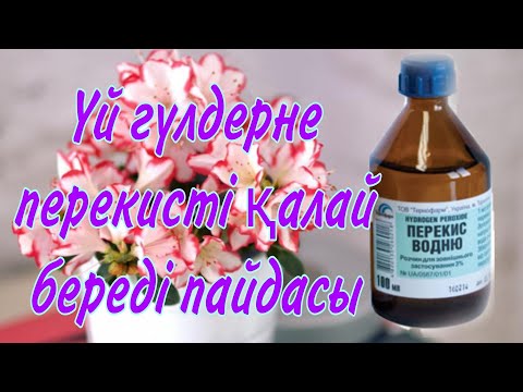 Видео: Перекистің гүлдерге берер пайдасы. Қалай қолданады.Перекистен тыңайтқыш гүлдерге Гүлдер әлемі.