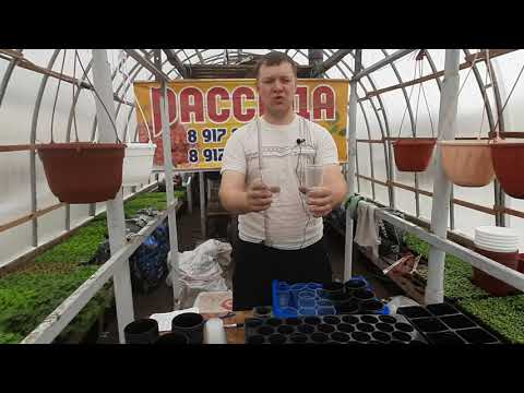Видео: Кассеты для рассады