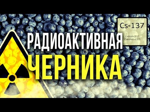 Видео: ☢  Радиоактивная Черника! [Олег Айзон]