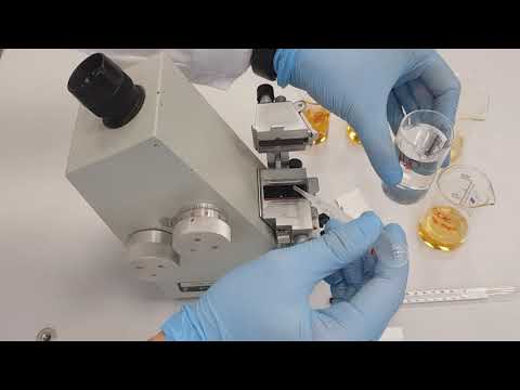 Видео: Занятие 7. Рефрактометрическое определение сахарозы в соке