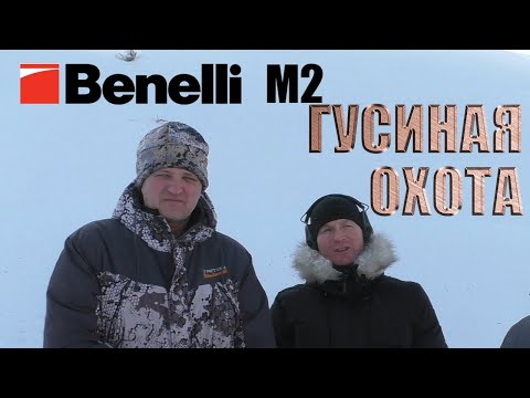 Видео: Benelli M2 ГУСИНАЯ ОХОТА   / ЧОКИ / ДУЛЬНЫЕ УСТРОЙСТВА