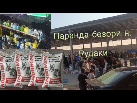 Видео: Паранда бозори н. Рудаки 10.08.2025 с...