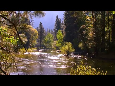 Видео: Очень красивая, Освежающая Мелодия Жаркого Дня! Послушайте! Музыка Сергея Чекалина