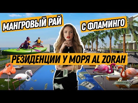 Видео: 2 дня в Аджмане Аль-Зора | ОТДЫХ ЦЕНЫ ПЛЯЖИ И СРАВНЕНИЕ с Дубаем | Oberoi Beach Resort | ОАЭ