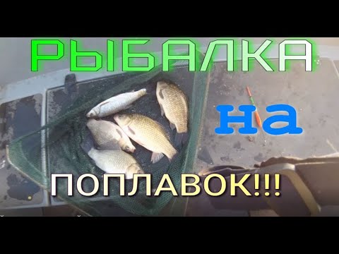 Видео: Рыбалка на удочку!! КАРАСЬ, ЧЕБАК. ПОДЛЕЩИК.