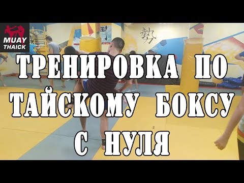 Видео: Тренировка по тайскому боксу с нуля - удары ногами с защитой, приемы муай тай, жесткая серия ударов
