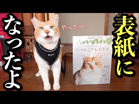Видео: Невероятно! Бывший бродячий кот стал звездой обложки журнала!