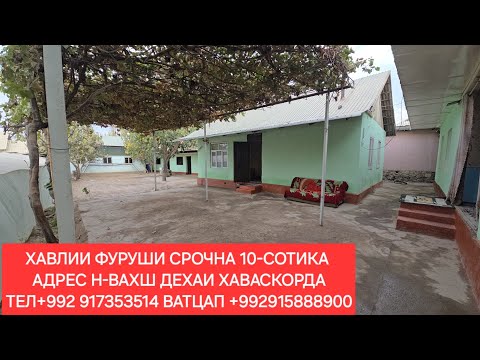 Видео: ХАВЛИИ ФУРУШИ ДАР ХАВАСКОР.ЧИСЛОИ  04,11,2025,СОЛ.