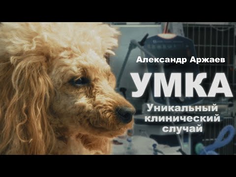 Видео: Самая длительная в мире ИВЛ у пациента с полирадикулоневритом