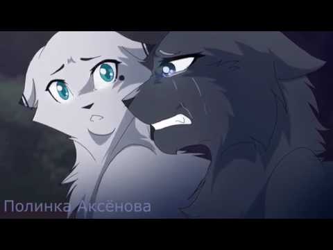 Видео: Коты воители - Смерти