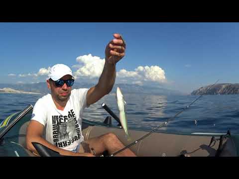 Видео: Рыбалка Хорватия 2020. Рыбалка на море. Средиземное море. Адриатика. Остров Раб Лопар. Insel Rab