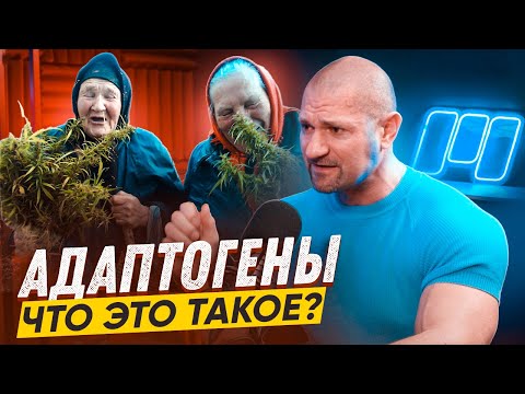 Видео: АДАПТОГЕНЫ. ЧТО ЭТО ТАКОЕ? Яковина