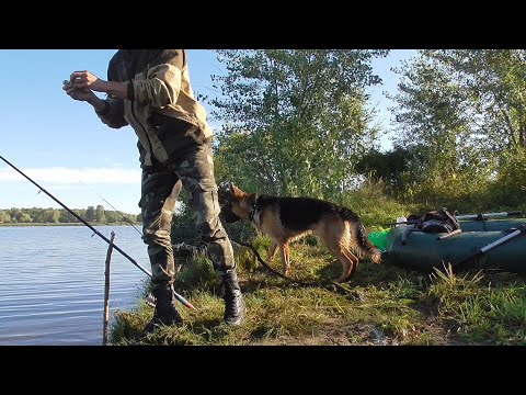 Видео: Осенняя рыбалка.Запекли рыбу на углях