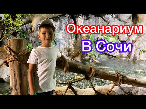 Видео: Акулы в #Сочи! Мы в океанариуме🦈