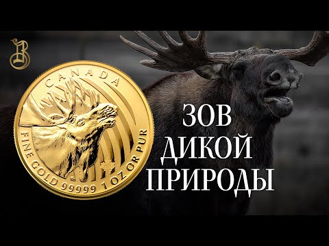 Видео: Золотые инвестиционные монеты Канады.