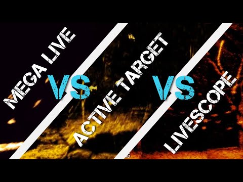 Видео: LiveScope, Mega Live и Active Target — какой из них выбрать?