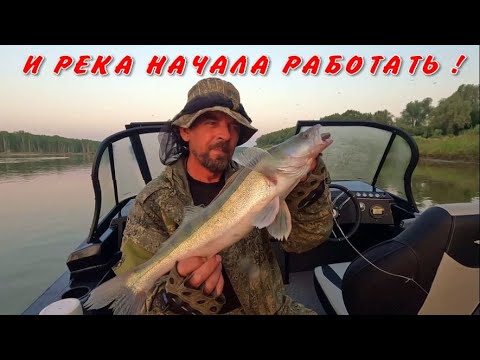 Видео: И РЕКА НАЧАЛА РАБОТАТЬ !!! Рыбалка на Оби 17 июня 2025г.