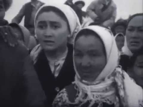 Видео: Материнское поле реж Г Базаров