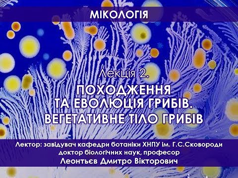 Видео: Мікологія 2. Походження та еволюція грибів. Вегетативне тіло грибів