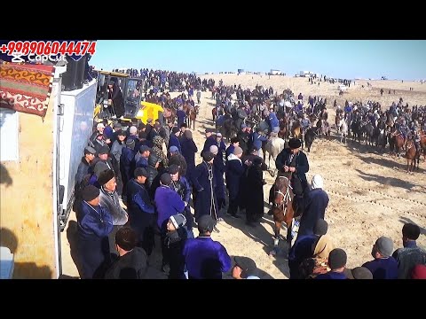 Видео: 09.12.2024 й Кукдал т Утамайли кишлоги Хуроз духтир бобони купкариси