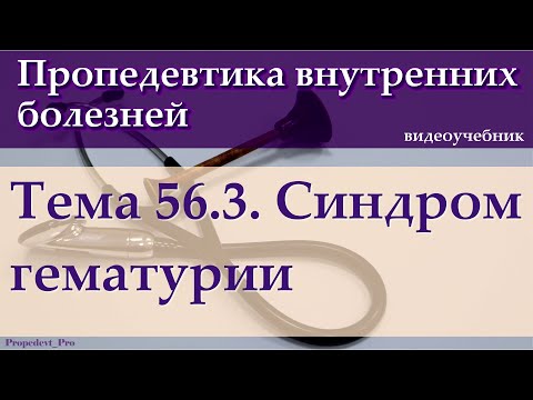 Видео: Тема 56.3. Синдром гематурии.