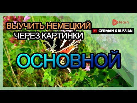 Видео: Выучить Немецкий через картинки |Немецкий словарь основной | Golearn