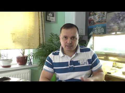 Видео: Сеем томаты!!! Нюансы и тонкости. Посев двух хороших гибридов. Сезон 2019.