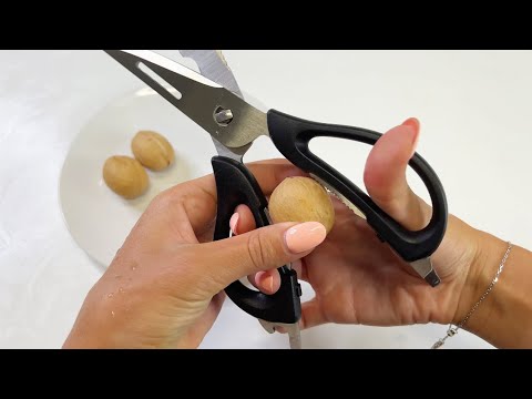 Видео: МНОГОФУНКЦИОНАЛЬНЫЕ НОЖНИЦЫ TUPPERWARE 6 в 1 / ОБЗОР НОВИНКИ / www.tupperware-spb.ru