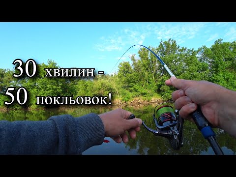 Видео: На цю приманку клює вся риба! Пів години пів сотні покльовок!