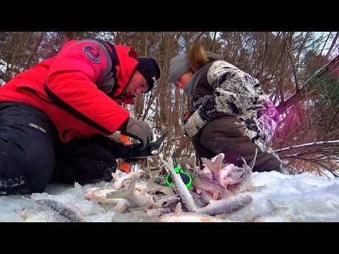 Видео: ЗАБУРИЛИСЬ в ТАЁЖНОМ РУЧЬЕ, а ТАМ РЫБЫ!!! РЫБАЛКА с СЫНОМ, ОН ТАКОГО ЕЩЁ НЕ ВИДЕЛ!!!