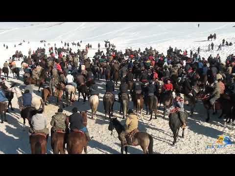 Видео: Көкпар Есболғанұлы Сматулла. Төлеби ауданы, Алғабас ауылы.