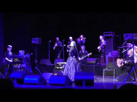 Видео: Елена Ваенга Северодвинск 13.01.2016