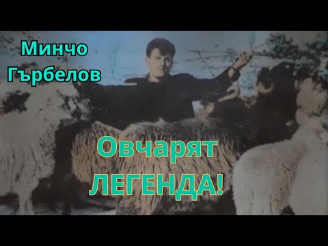 Видео: Овчарят легенда - Минчо Гърбелов