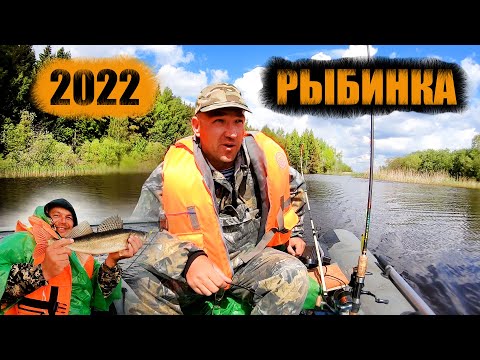 Видео: РЫБИНКА 2022 (Часть 3) || Долгожданный СУДАК || Рыбалка с лодки || Рыбинское водохранилище кемпинг