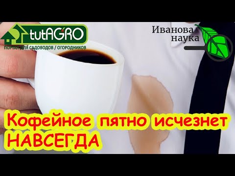 Видео: БЕЗ ЗАМАЧИВАНИЯ и СТИРКИ: свёл пятна за 2 минуты, не снимая одежду. Вы даже не догадаетесь, чем!