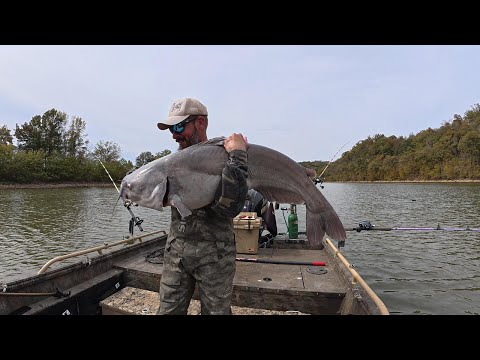 Видео: Когда все наконец сложится
