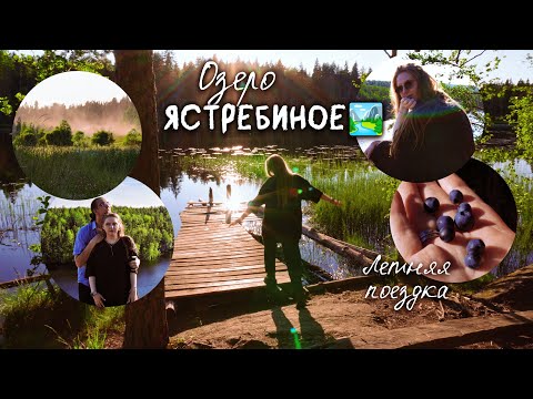 Видео: Озеро Ястребиное🏞️🍃