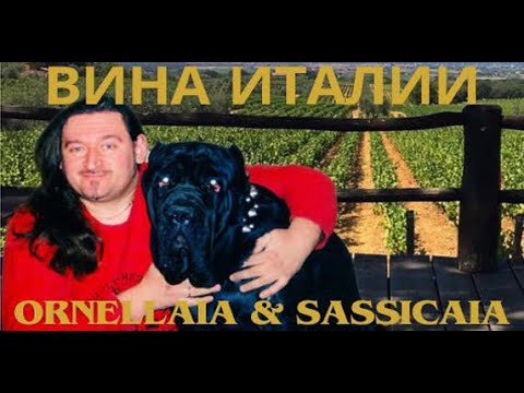 Видео: ВЕЛИКИЕ ВИНА ИТАЛИИ!