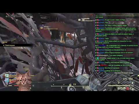 Видео: Fallout 76. Витилигопоплик!