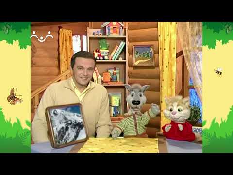 Видео: День в Шишкином Лесу. Горы