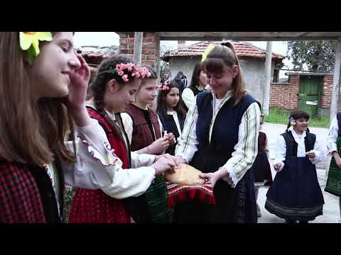 Видео: Правище
