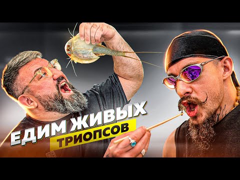 Видео: ПРОБУЕМ ГОЛОВАСТИКОВ С БЛУДОМ
