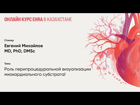 Видео: Роль перипроцедуральной визуализации миокардиального субстрата. Евгений Михайлов