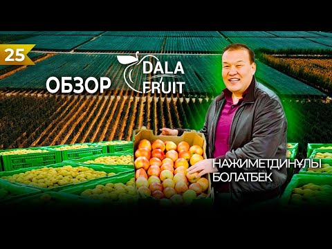 Видео: 10 000 тонн яблок в год: история успеха компании DALA-FRUIT.KZ